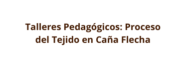 Talleres Pedagógicos Proceso del Tejido en Caña Flecha