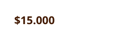 15 000